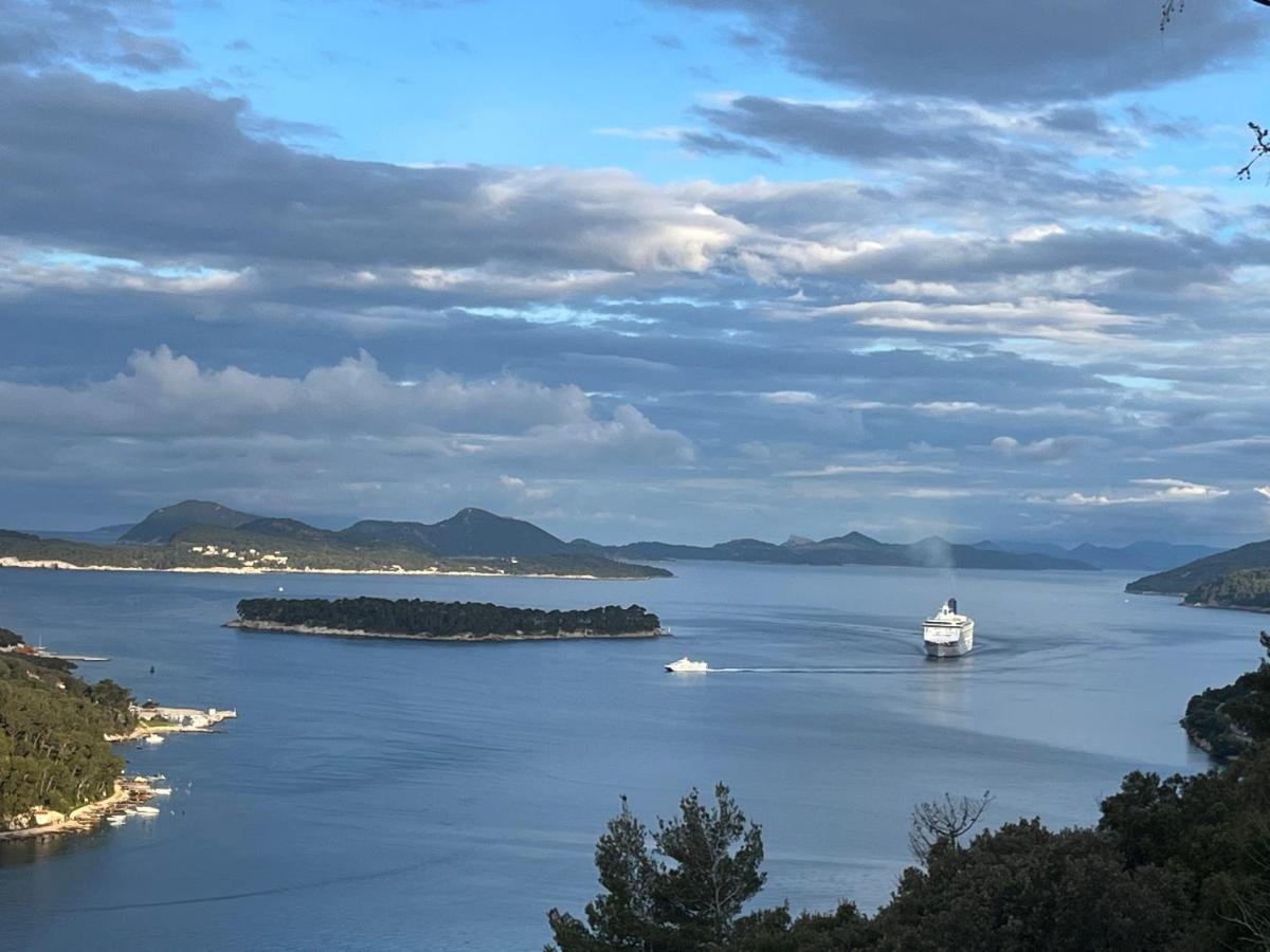 View Dubrovnikアパートメント エクステリア 写真